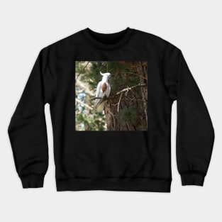 Bombs Away - Adelaide Hills - Fleurieu Peninsula by South Australian artist Avril Thomas Crewneck Sweatshirt